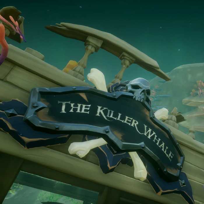 omg, please let me just name my ship!